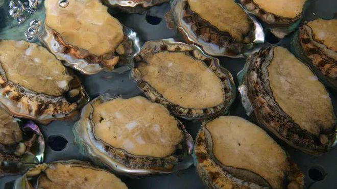 【品牌展播】中國地理標志農(nóng)產(chǎn)品品牌展播(福建福州篇-下)