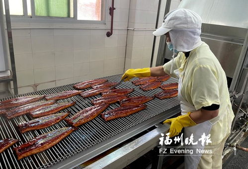 長(zhǎng)樂全力打造“海上糧倉(cāng)” 研發(fā)水產(chǎn)品預(yù)制菜，提升福州海蚌產(chǎn)業(yè)影響力